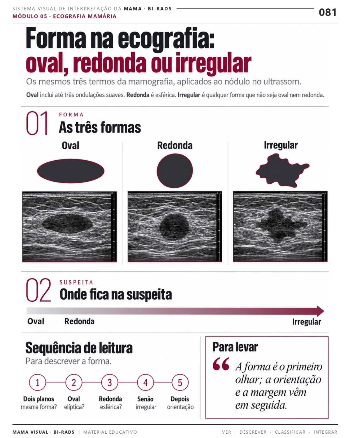 Página 81: Forma na ecografia: oval, redonda ou irregular. Prévia do PDF Mama Visual BI-RADS; imagens didáticas simuladas.